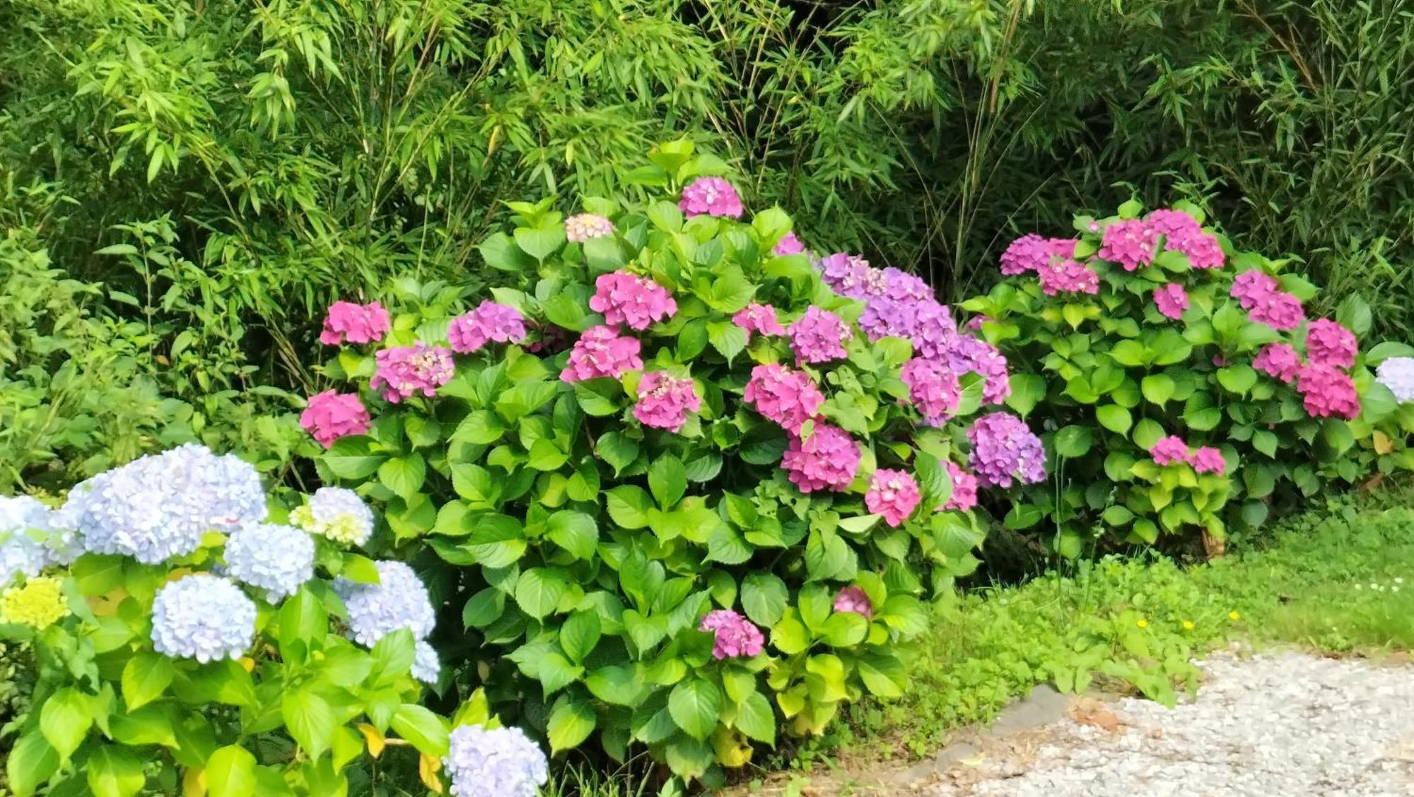Bed & Breakfast Le Moulin De